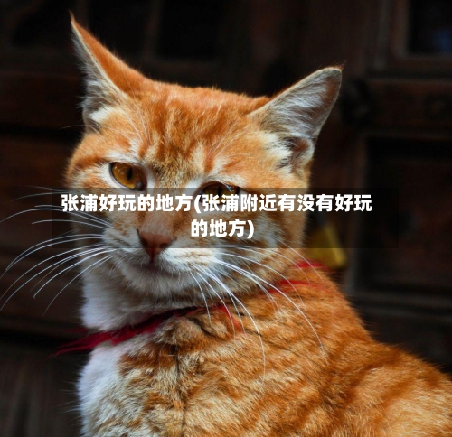 张浦好玩的地方(张浦附近有没有好玩的地方)