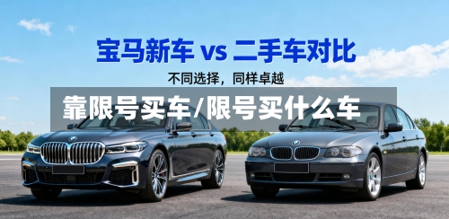 靠限号买车/限号买什么车-第2张图片