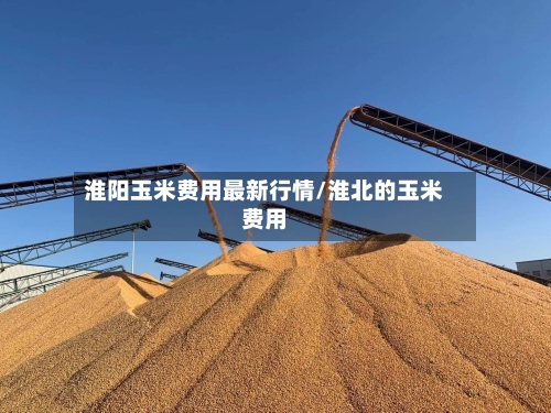 淮阳玉米费用最新行情/淮北的玉米费用-第3张图片