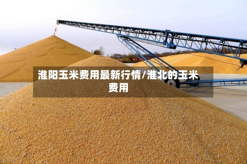 淮阳玉米费用最新行情/淮北的玉米费用-第2张图片