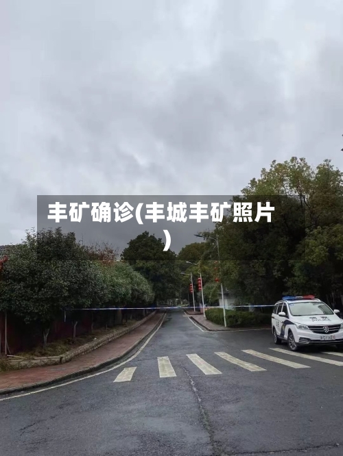 丰矿确诊(丰城丰矿照片)
