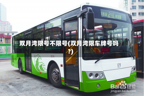 双月湾限号不限号(双月湾限车牌号吗?)