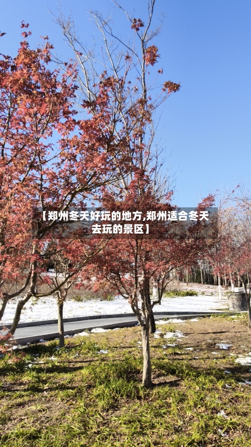 【郑州冬天好玩的地方,郑州适合冬天去玩的景区】