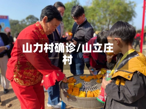 山力村确诊/山立庄村