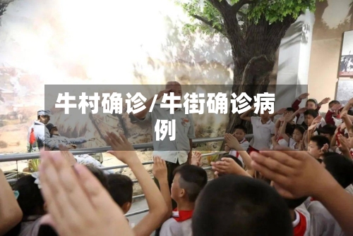 牛村确诊/牛街确诊病例