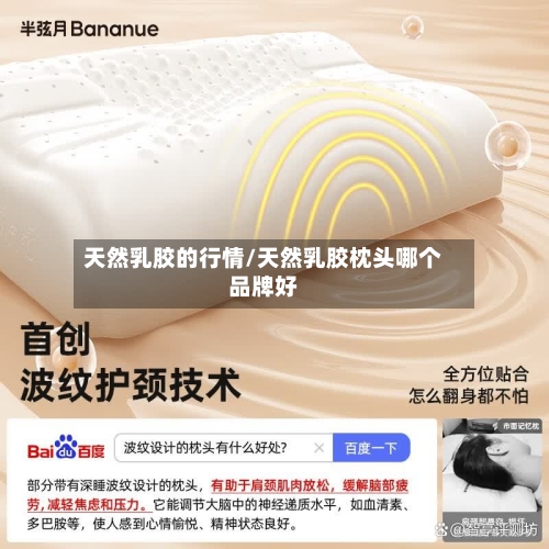 天然乳胶的行情/天然乳胶枕头哪个品牌好