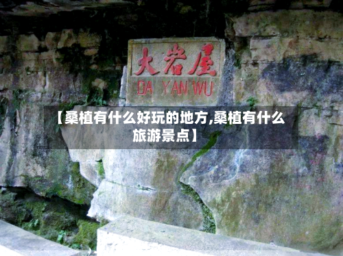 【桑植有什么好玩的地方,桑植有什么旅游景点】