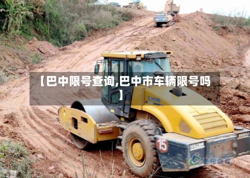 【巴中限号查询,巴中市车辆限号吗】