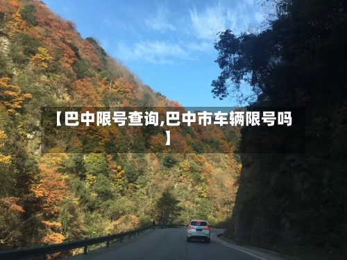 【巴中限号查询,巴中市车辆限号吗】-第2张图片