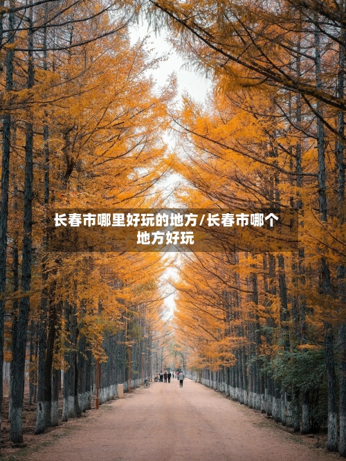 长春市哪里好玩的地方/长春市哪个地方好玩