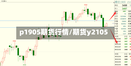 p1905期货行情/期货y2105