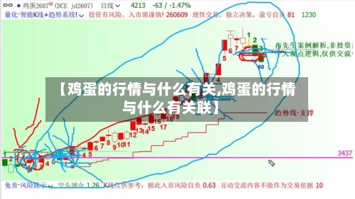 【鸡蛋的行情与什么有关,鸡蛋的行情与什么有关联】