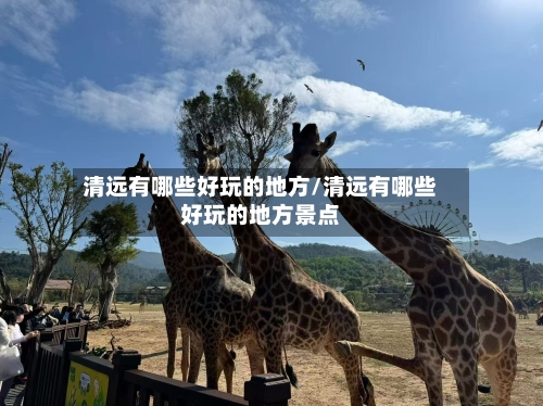 清远有哪些好玩的地方/清远有哪些好玩的地方景点-第2张图片