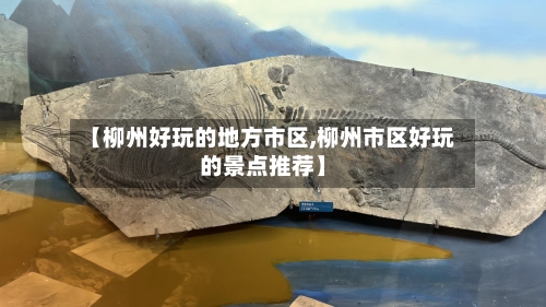 【柳州好玩的地方市区,柳州市区好玩的景点推荐】
