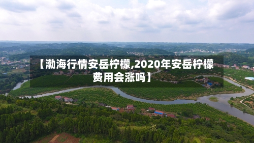 【渤海行情安岳柠檬,2020年安岳柠檬费用会涨吗】-第3张图片