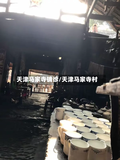 天津马家寺确诊/天津马家寺村