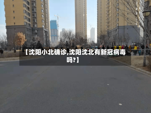 【沈阳小北确诊,沈阳沈北有新冠病毒吗?】-第2张图片
