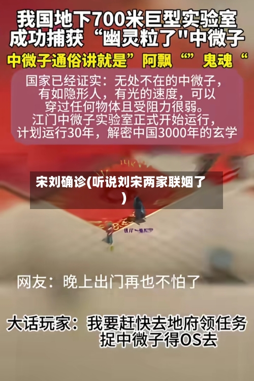 宋刘确诊(听说刘宋两家联姻了)-第2张图片
