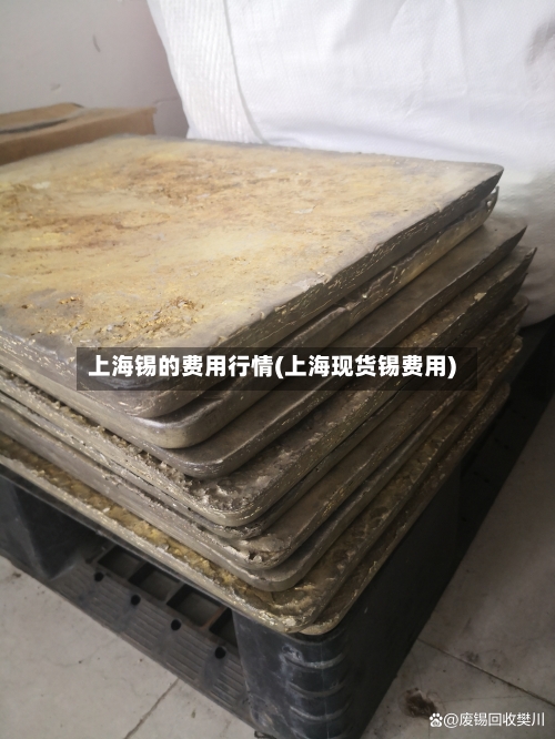 上海锡的费用行情(上海现货锡费用)-第2张图片