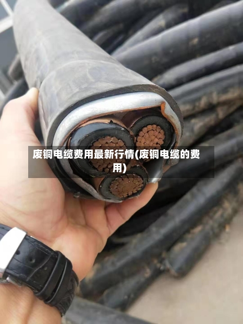 废铜电缆费用最新行情(废铜电缆的费用)-第3张图片